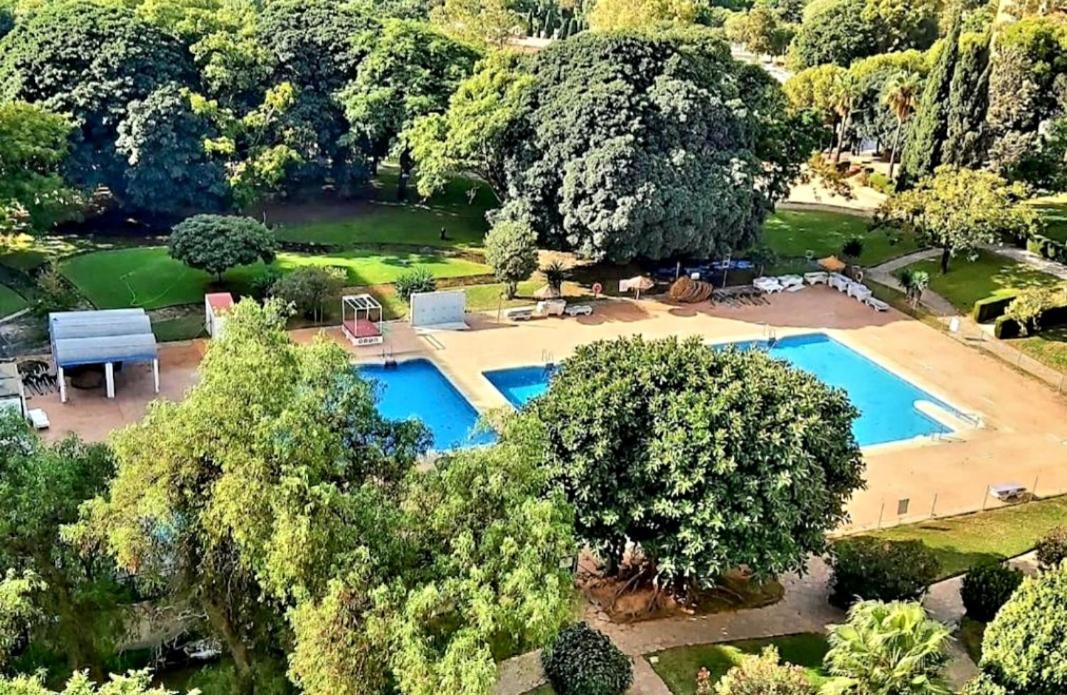 New Swimming Pool Apartamento