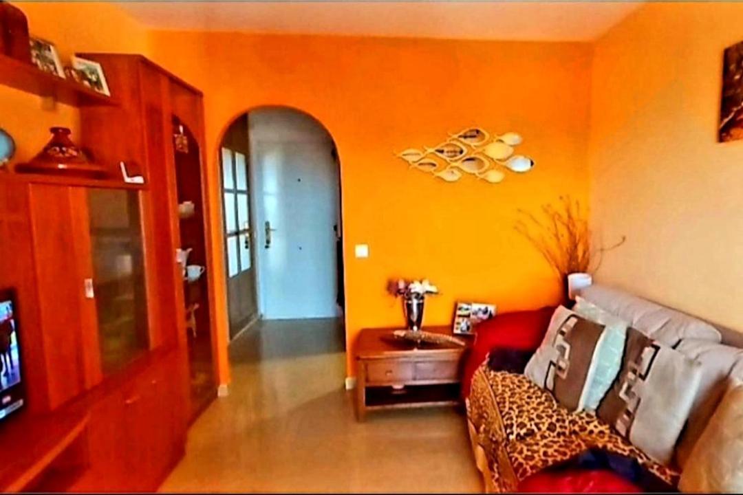 Apartamento New Swimming Pool