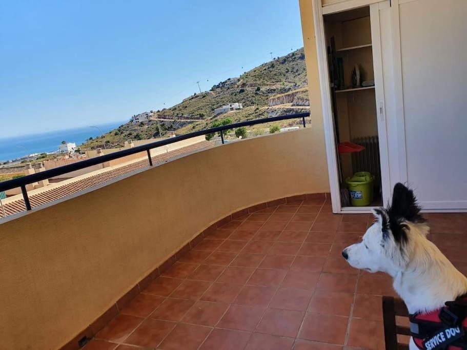 2 En Apartment *