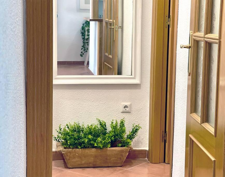A Mare, Primera Linea De Playa Apartment *