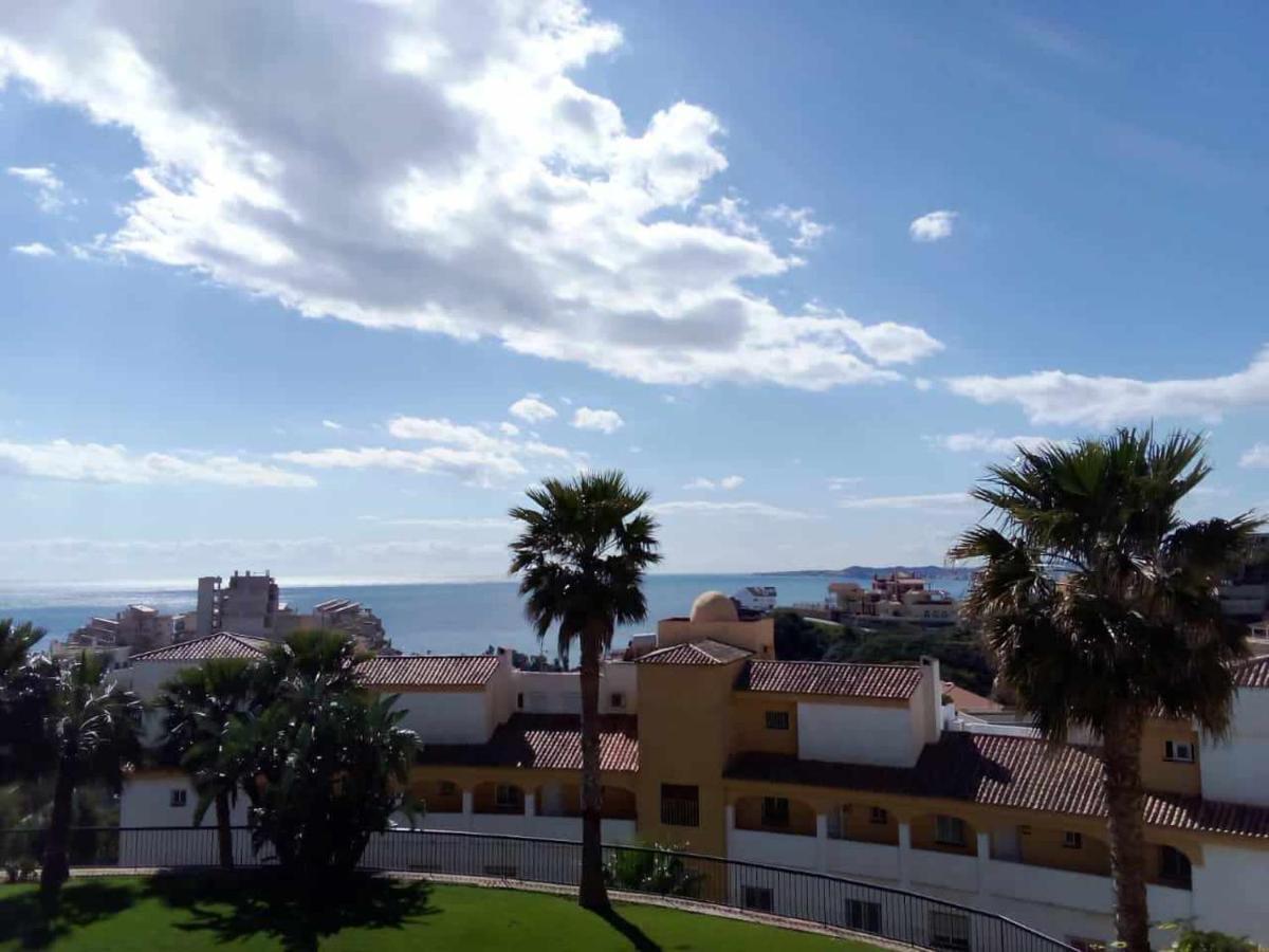 Estudio En Nueva Torrequebrada