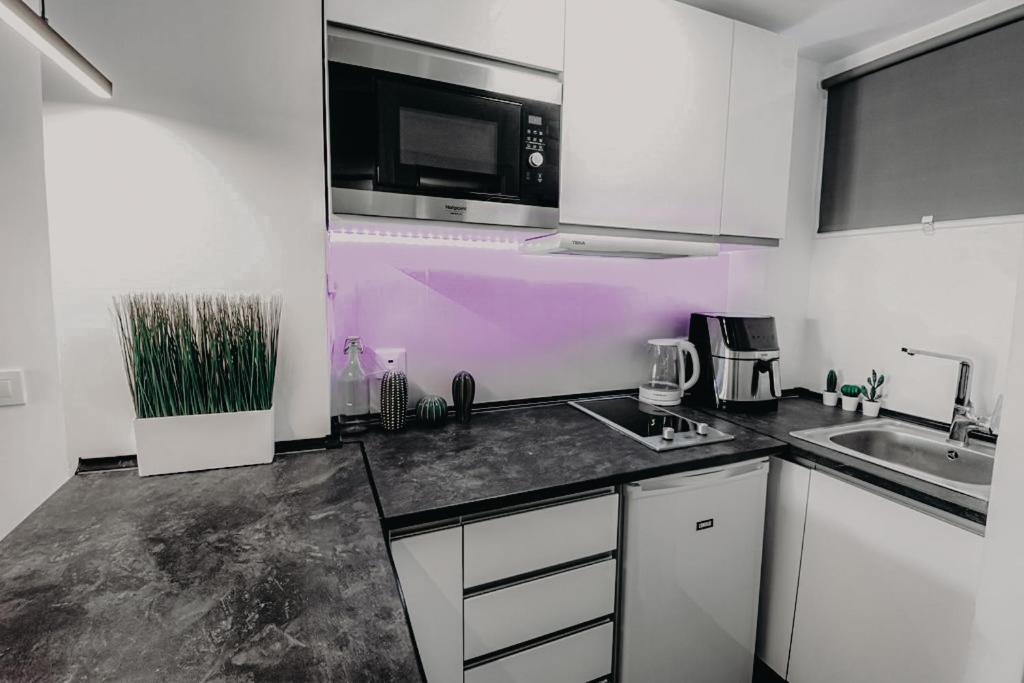 Apartment Minerva 637 - Studio *