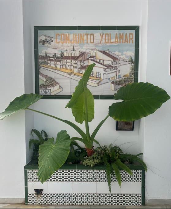 Rent4 Malaga Yolamar Appartement *