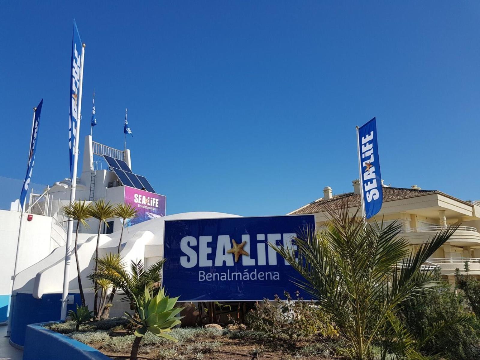 By The Sea