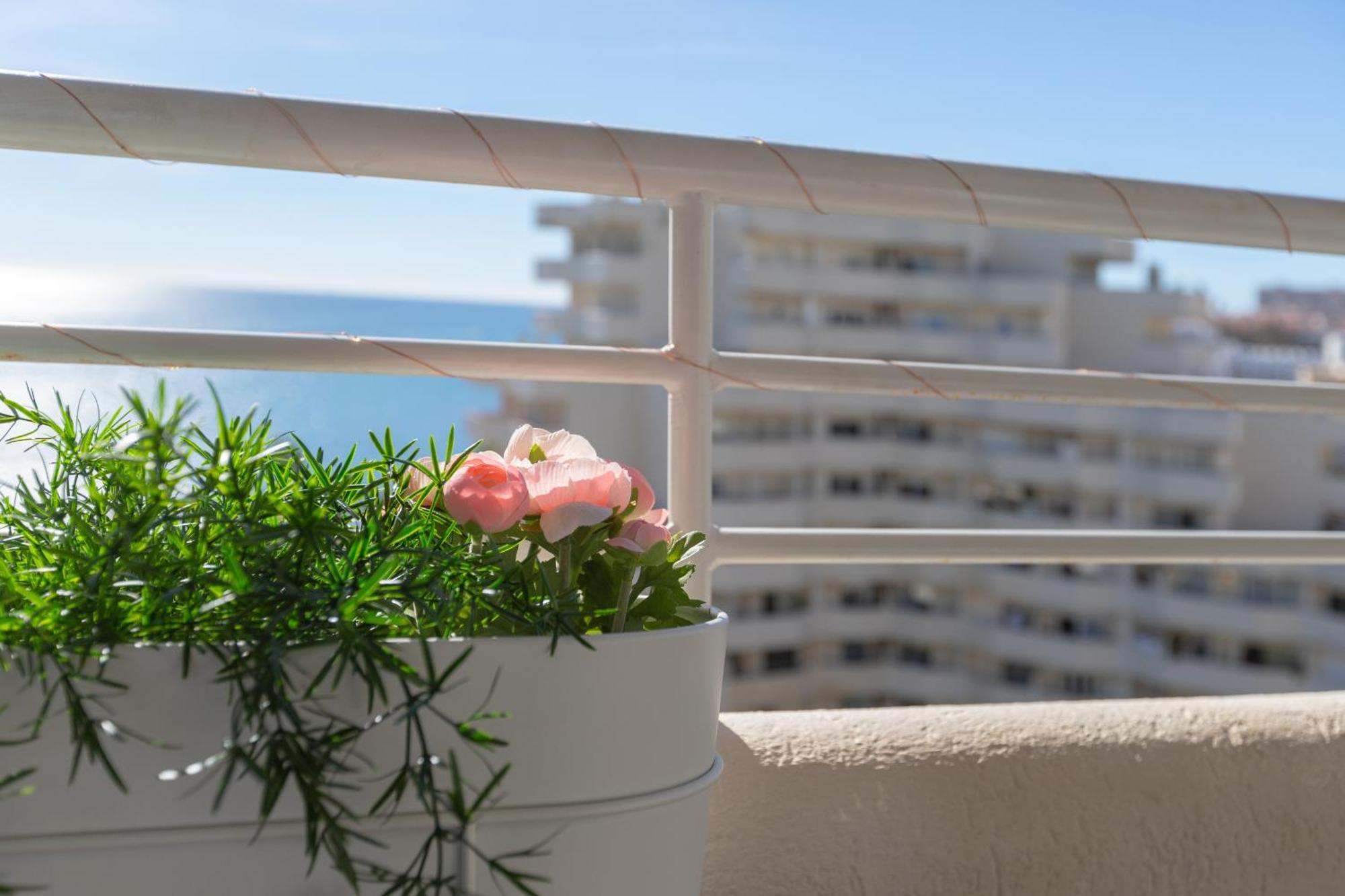 Apartment Costa Del Sol