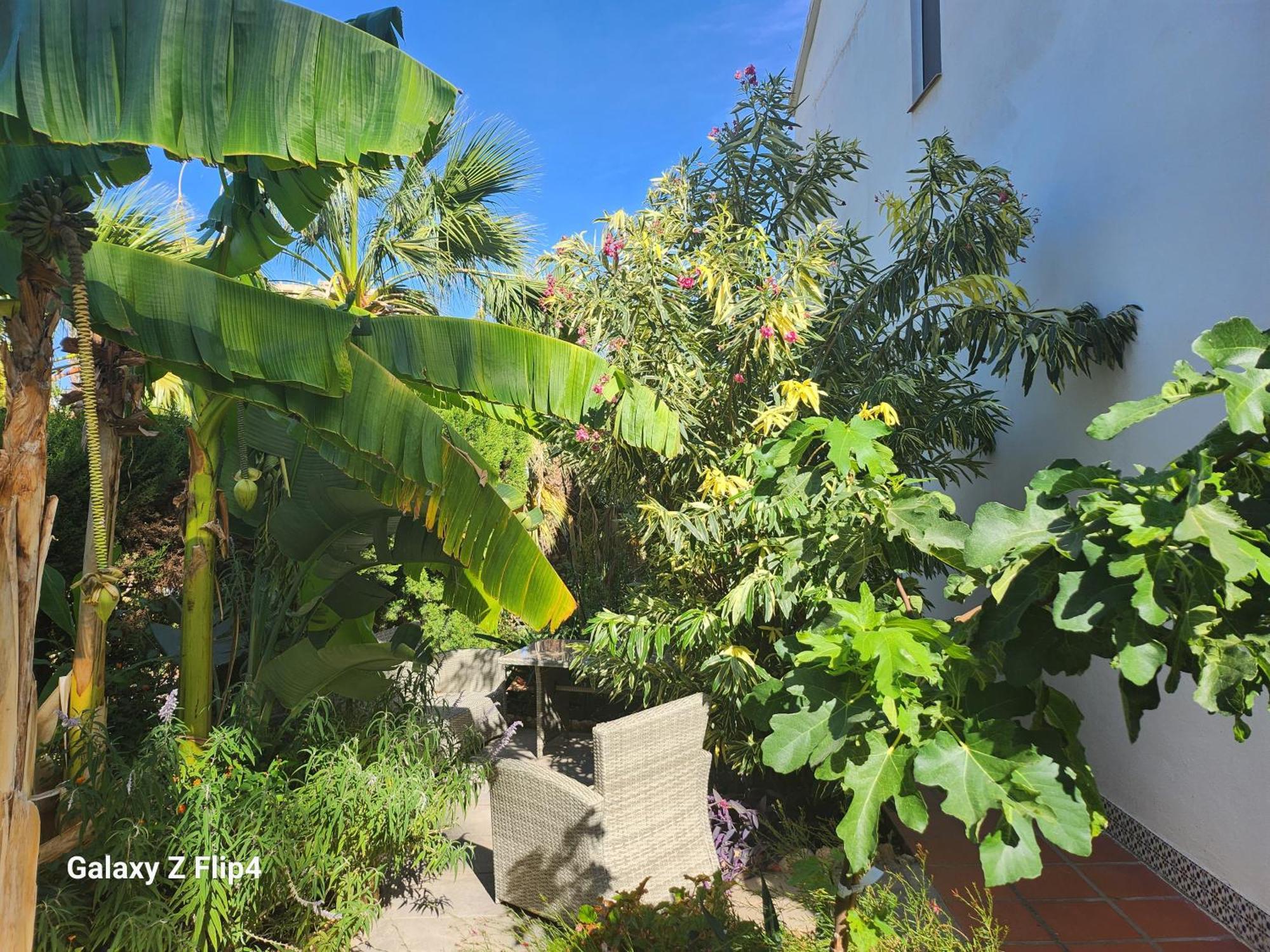 Deluxe Athos 50 Mp Garden Patio Golf & * Benalmadena