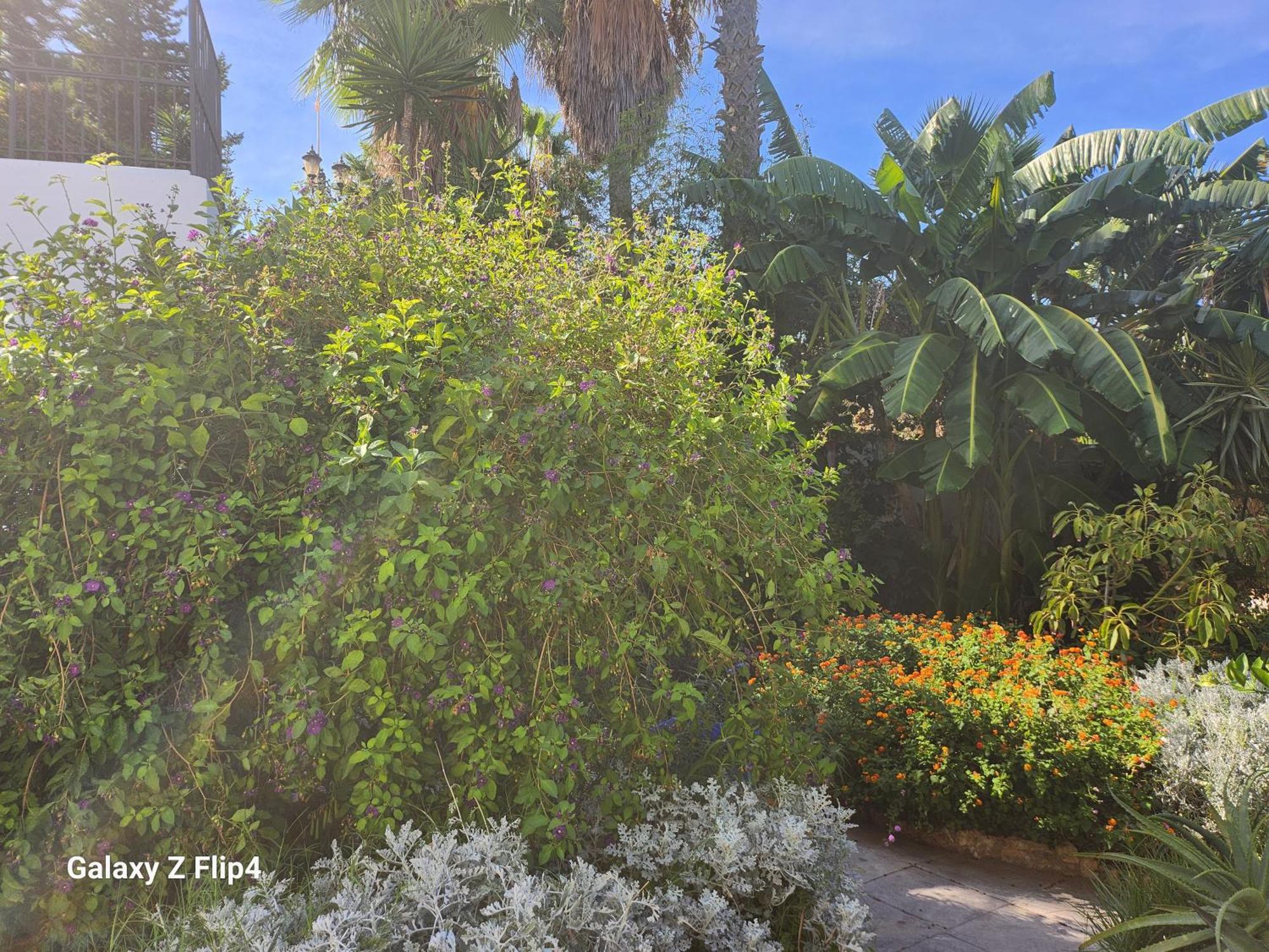 Guest house Deluxe Athos 50 Mp Garden Patio Golf & Benalmadena