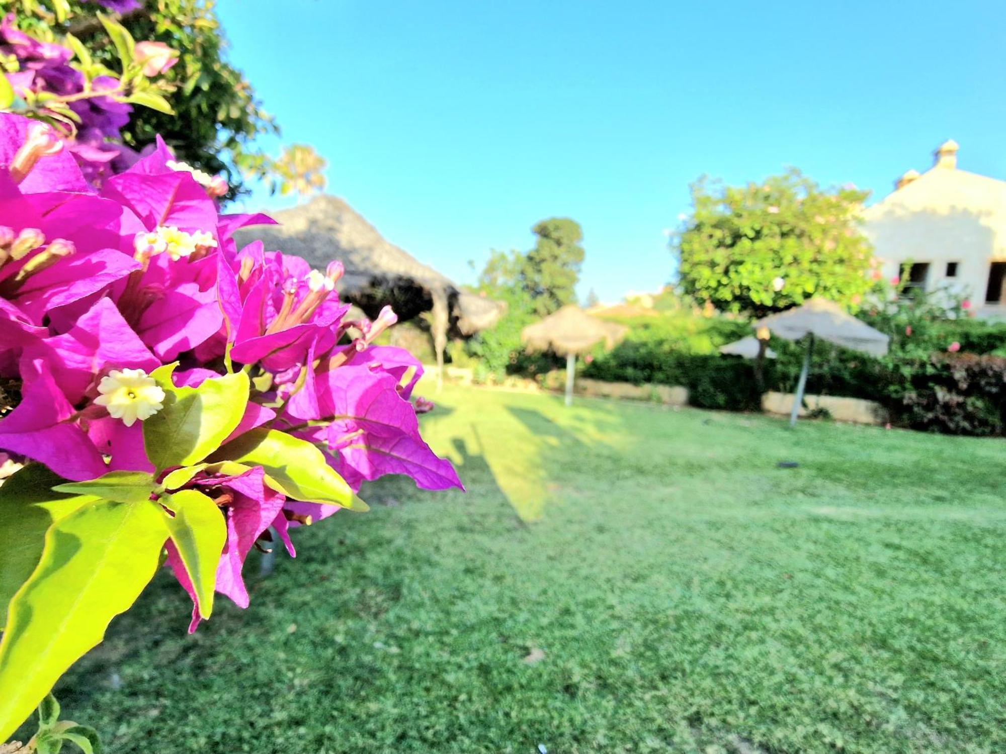 Aa Guest - Piscis Mountain View Eco Apartment Benalmadena