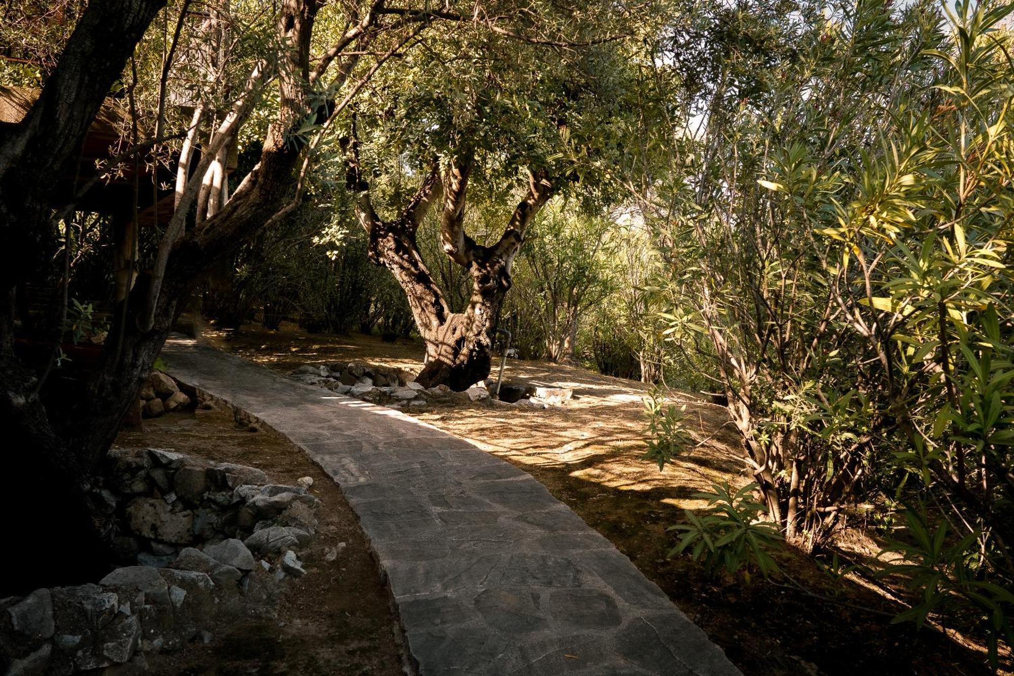 7,000 Sqm Luxurious With Panoramic Sea Views Multiple Gardens & Two Pools Villa