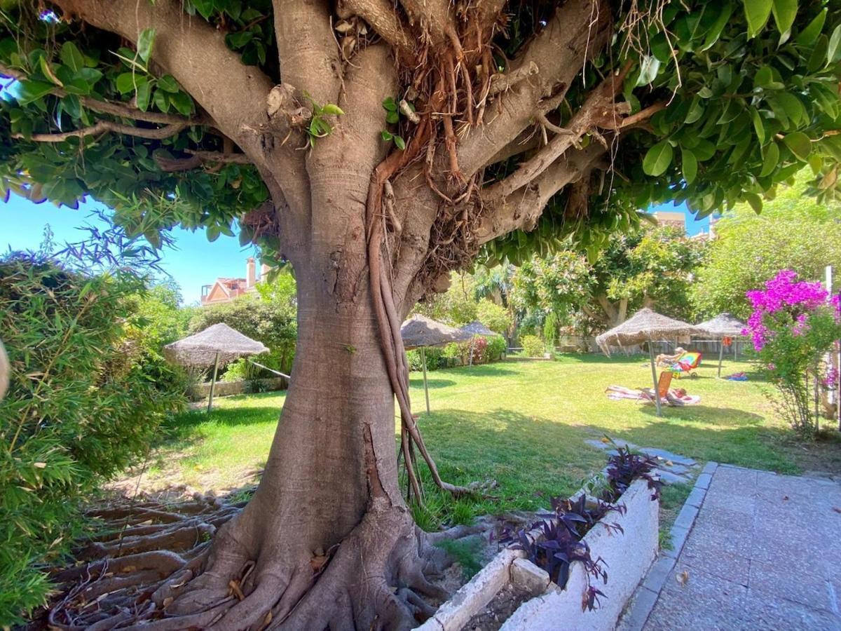 Apartment 2 Bedrooms And 2 Bathrooms With Sea View At Piscis Arroyo