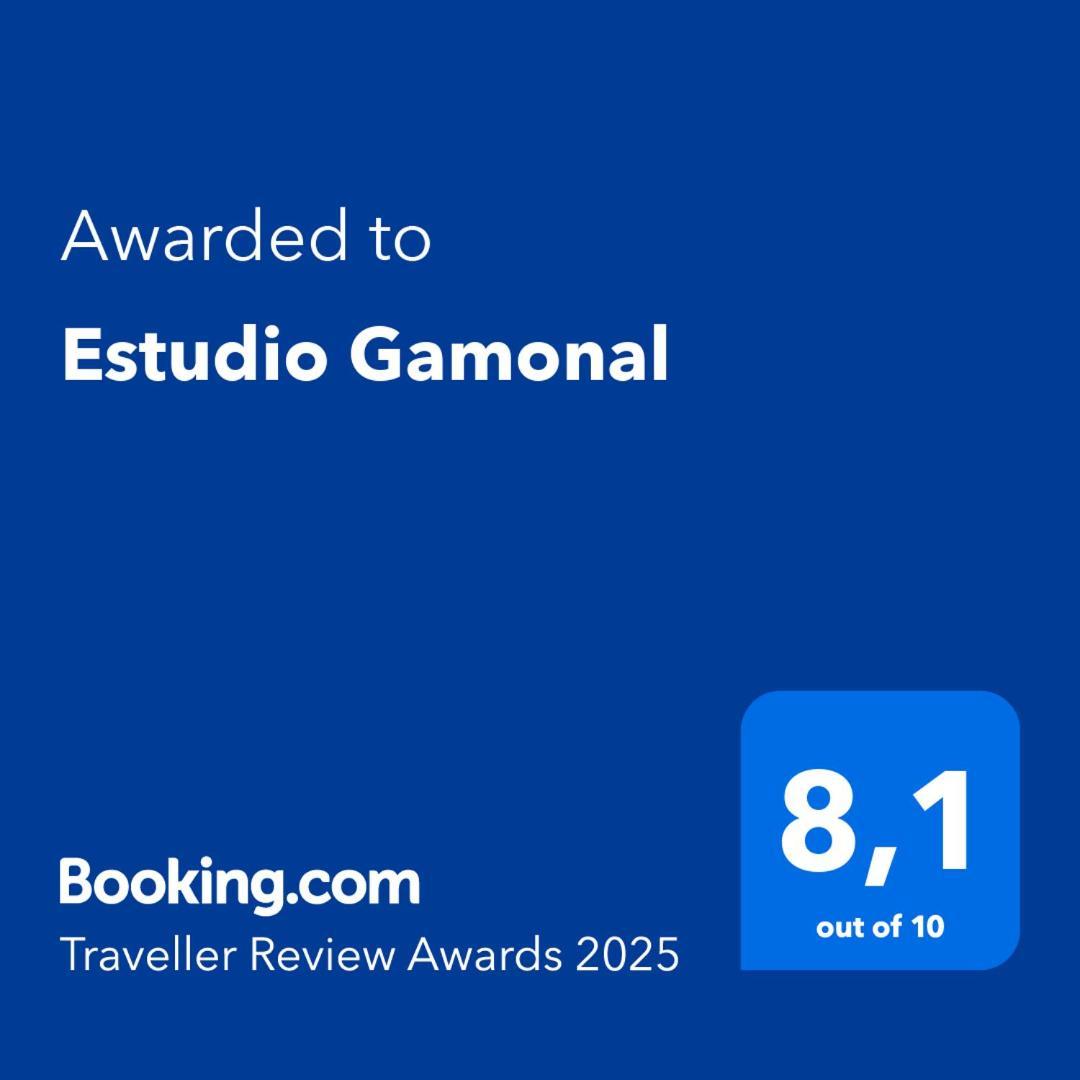 Apartamento Estudio Gamonal *