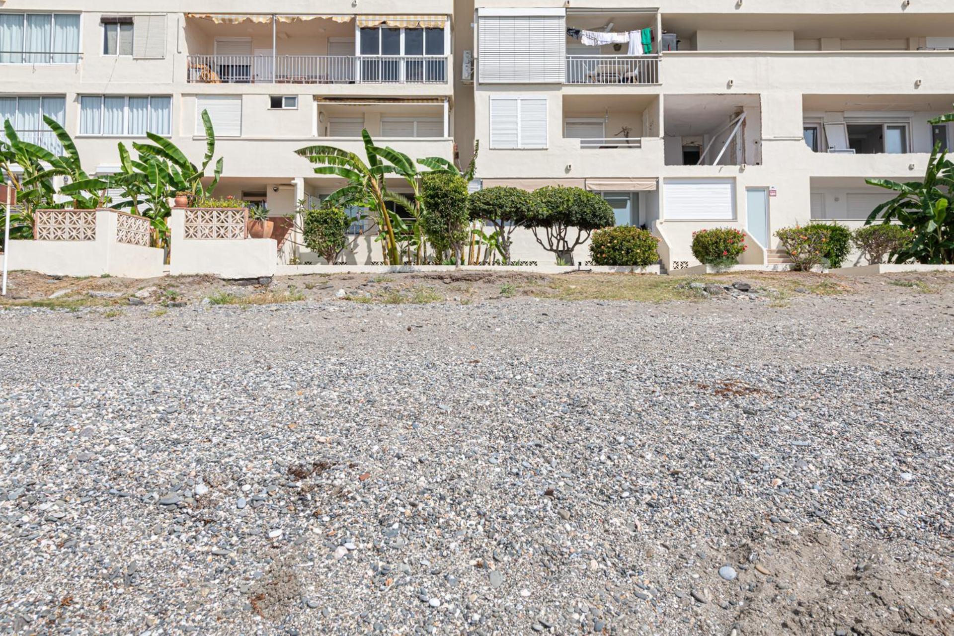 Iloftmalaga La Perla - Torremuelle *