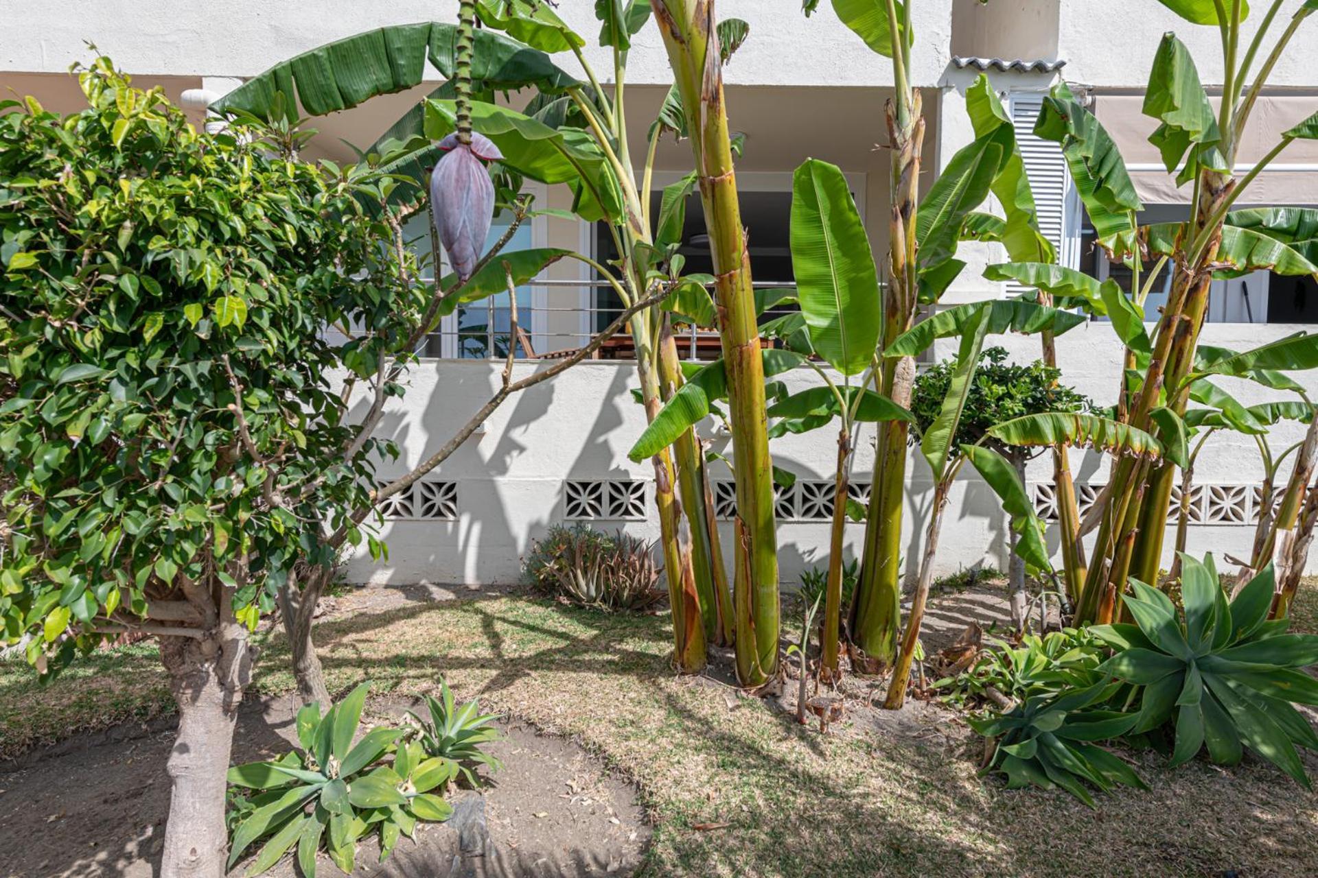 Iloftmalaga La Perla - Torremuelle Apartment *