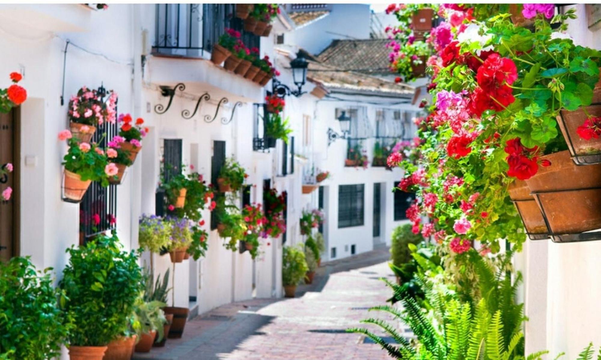 Bonito Con Barbacoa Benalmádena