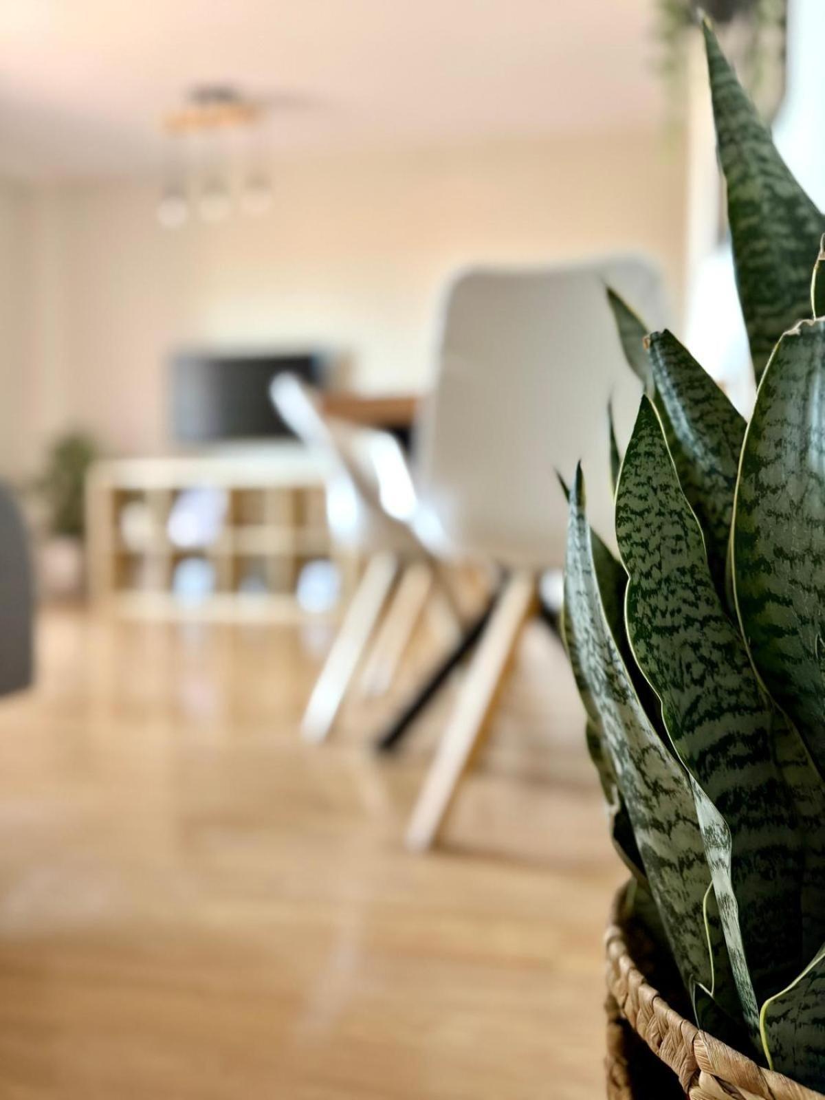 Apartment Atico Sea Views - 2 Bedrooms *