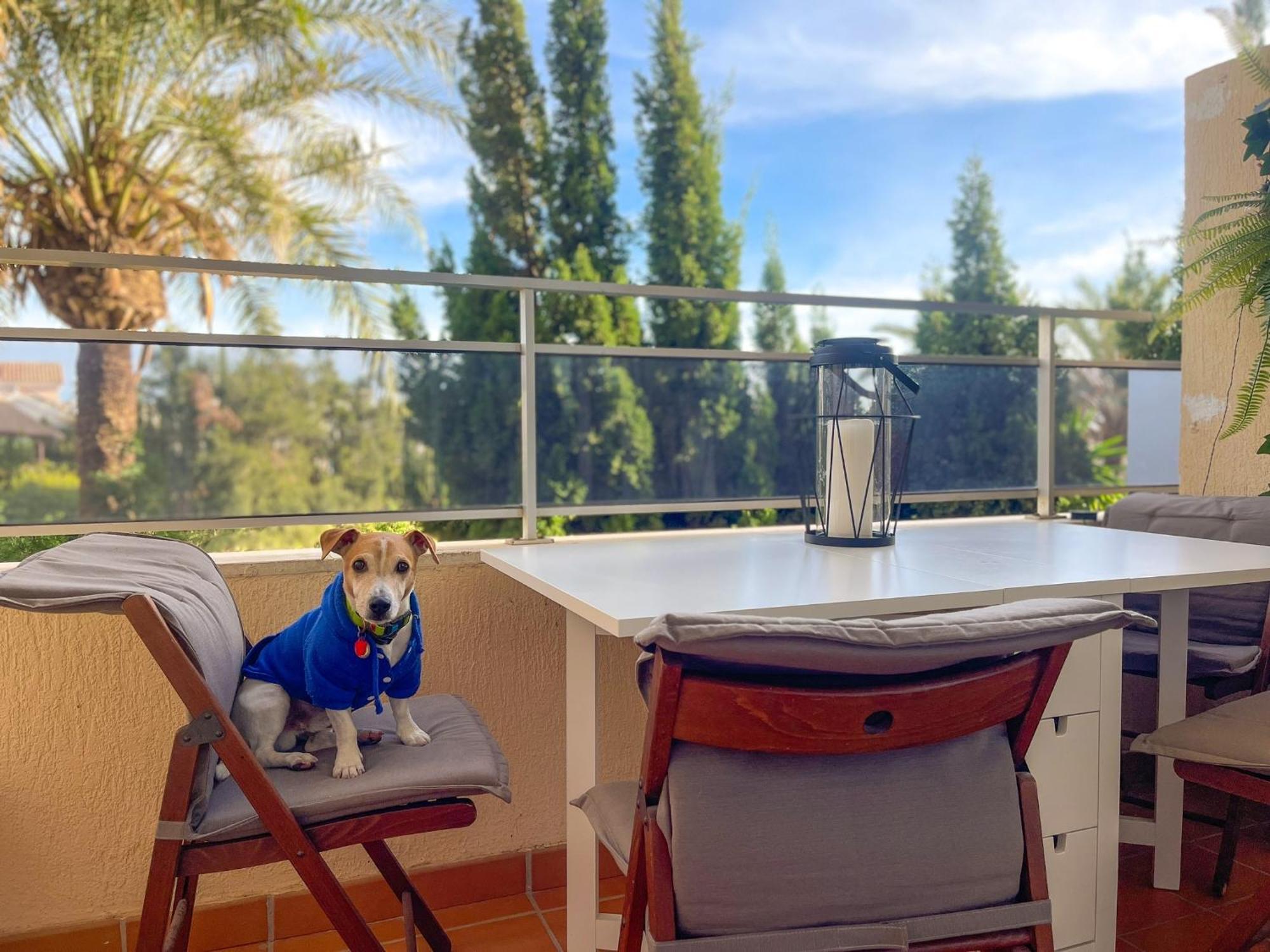 Klimatyczny Loft I Egzotyczny Basen Apartment Benalmadena