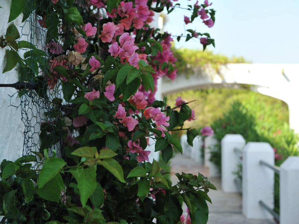 Vakantiehuis Hacienda Del Golf *