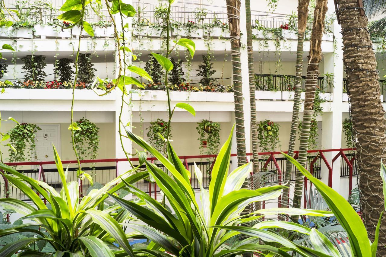Benalbeach 5 Appartement *