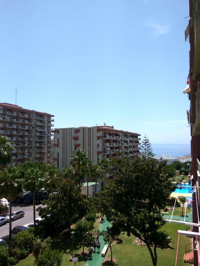 Estudio Minerva 241 *