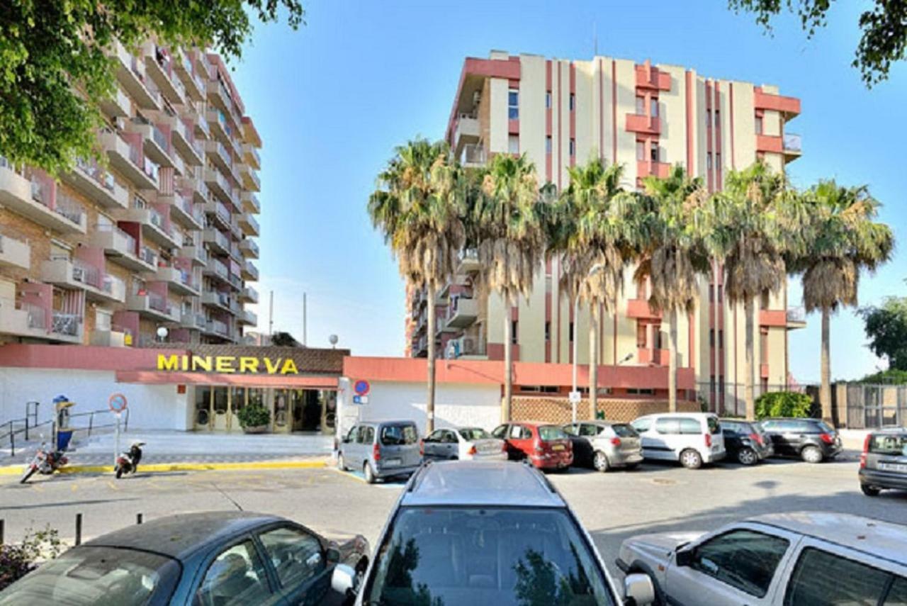 Estudio Minerva 241 *