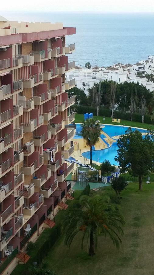 Aguila Minerva Benalmadena