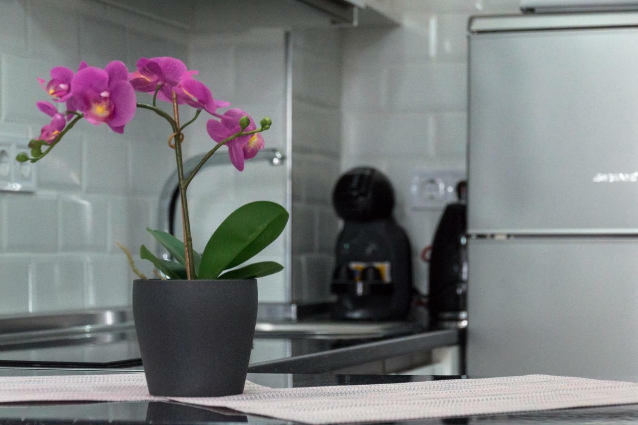 Minerva M&d 123 Limpieza Con Ozono Apartment *