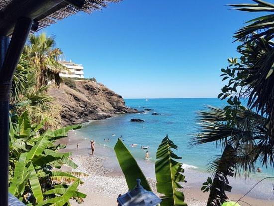 Estrella De Mar