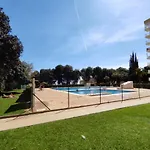 Benalmadena Bolboreta Studio