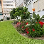 Delfin Verde