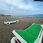 Delfin Verde