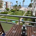 Delfin Verde