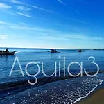 Estudio Aguila3