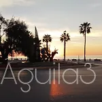 Estudio Aguila3