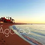 Estudio Aguila3