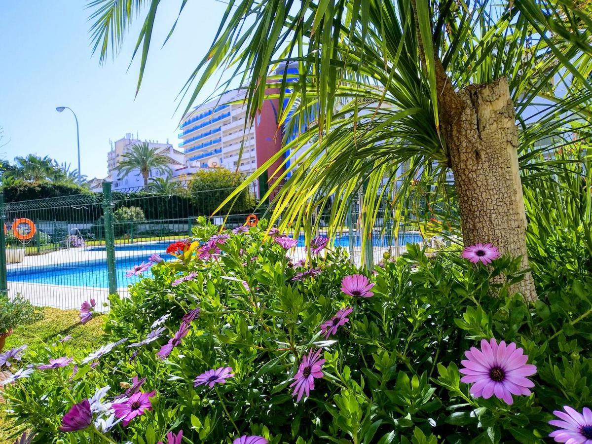 Apartment Apartamento Con Piscina Y Terraza Junto A La Playa *