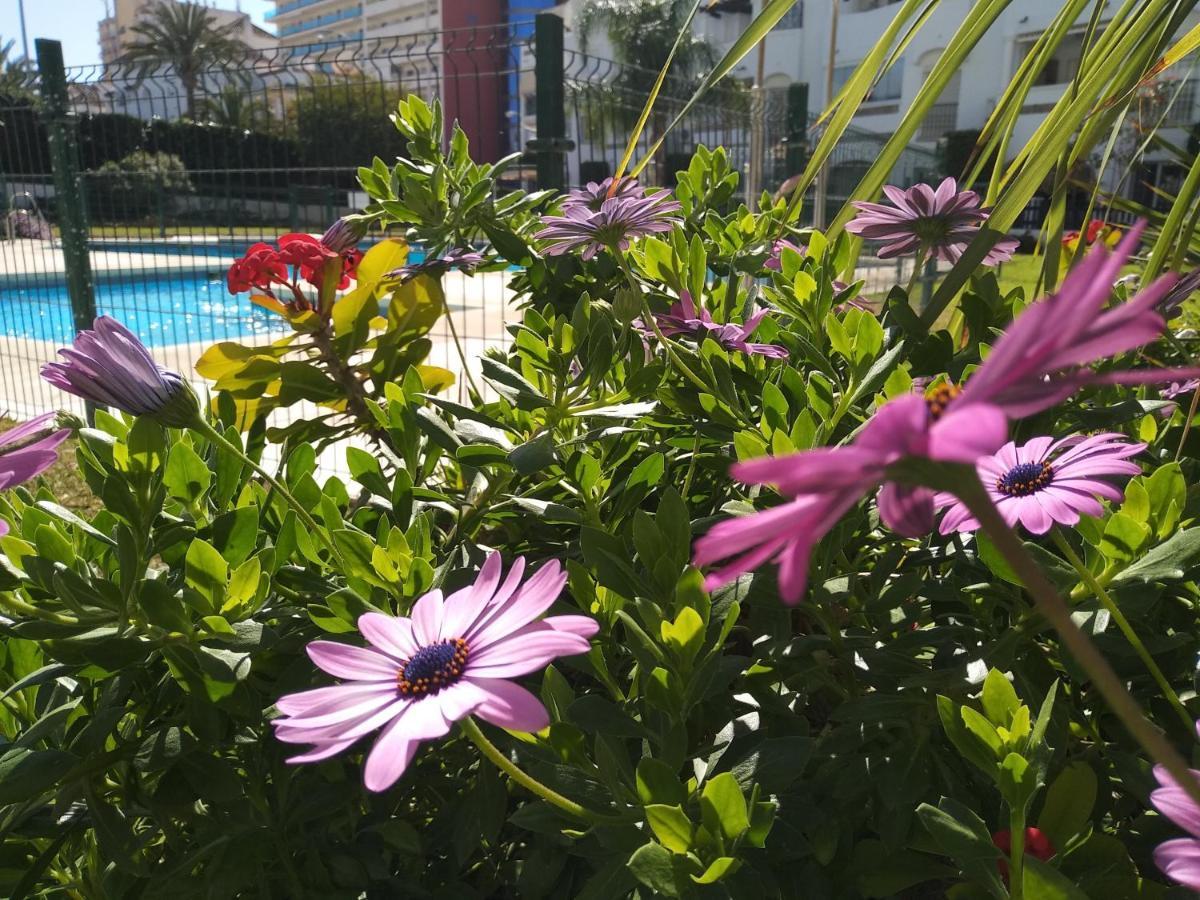 Apartamento Con Piscina Y Terraza Junto A La Playa Apartment