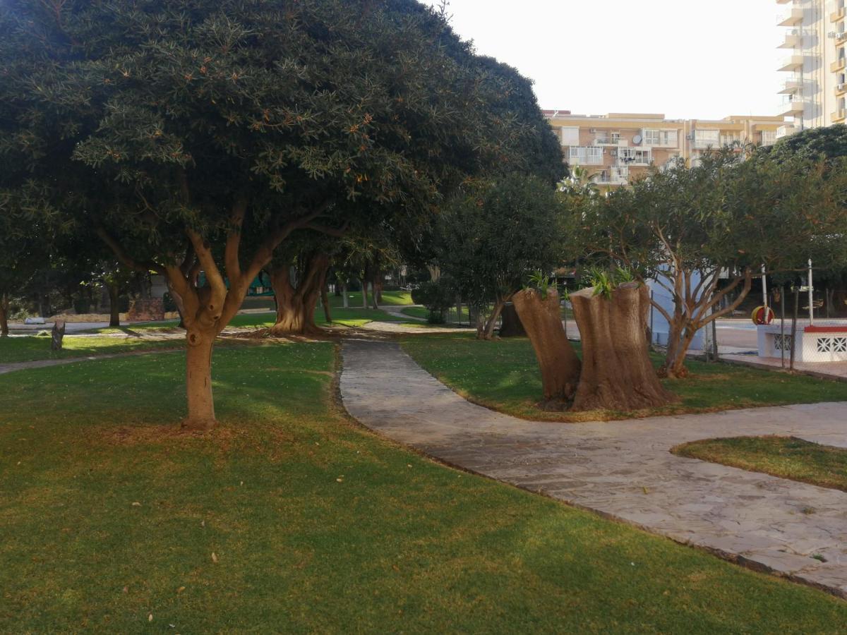Gamonal N.4 *