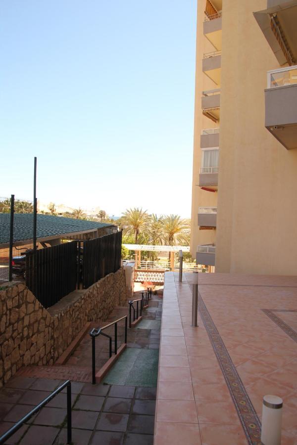 Tamarindos 30m De La Plage Appartement