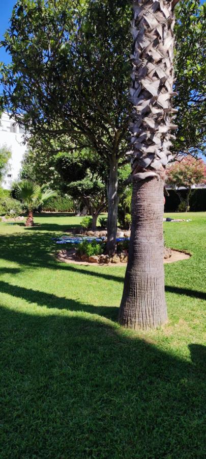 Delta Del Sur Apartment Benalmadena