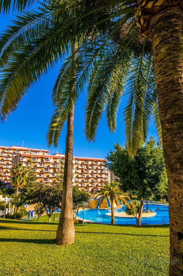 706 Minerva - Vista Al Mar Y La Piscina - Piscina Y Playa Apartment *
