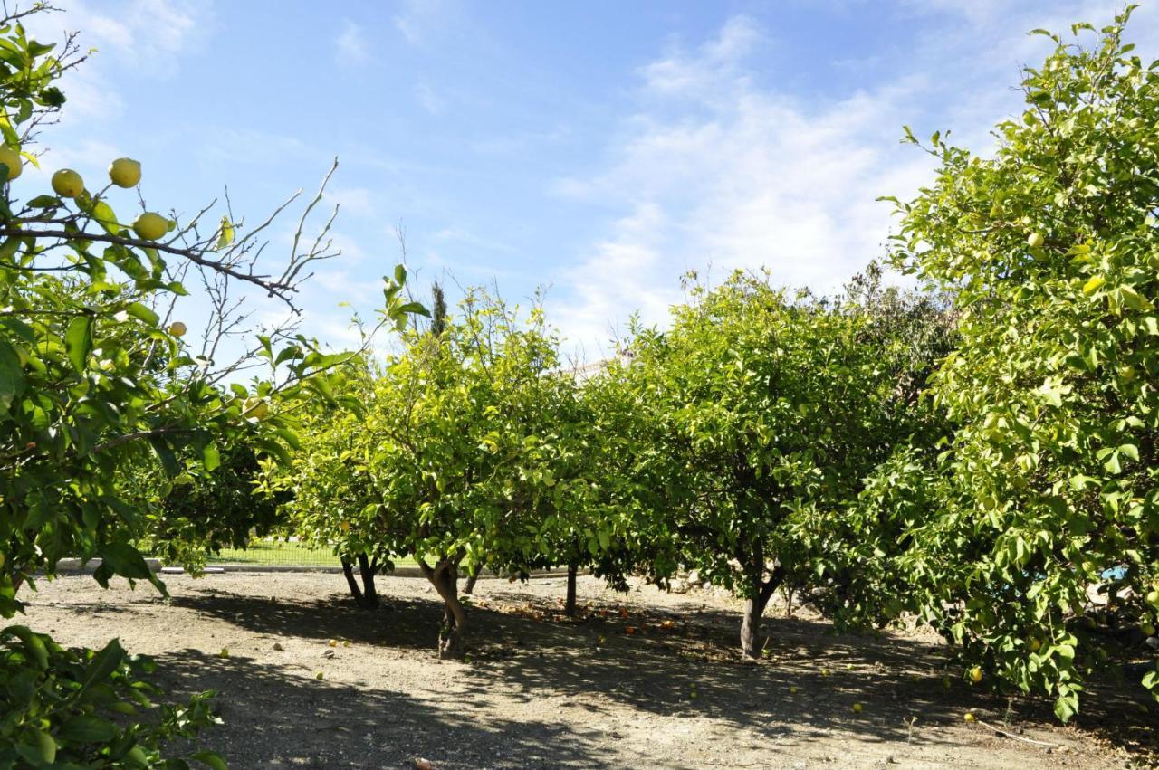 Lo Antonio Coronao -- Private -bbq- Pool And Spectacular Garden With Sea Views -wifi-600mps-
