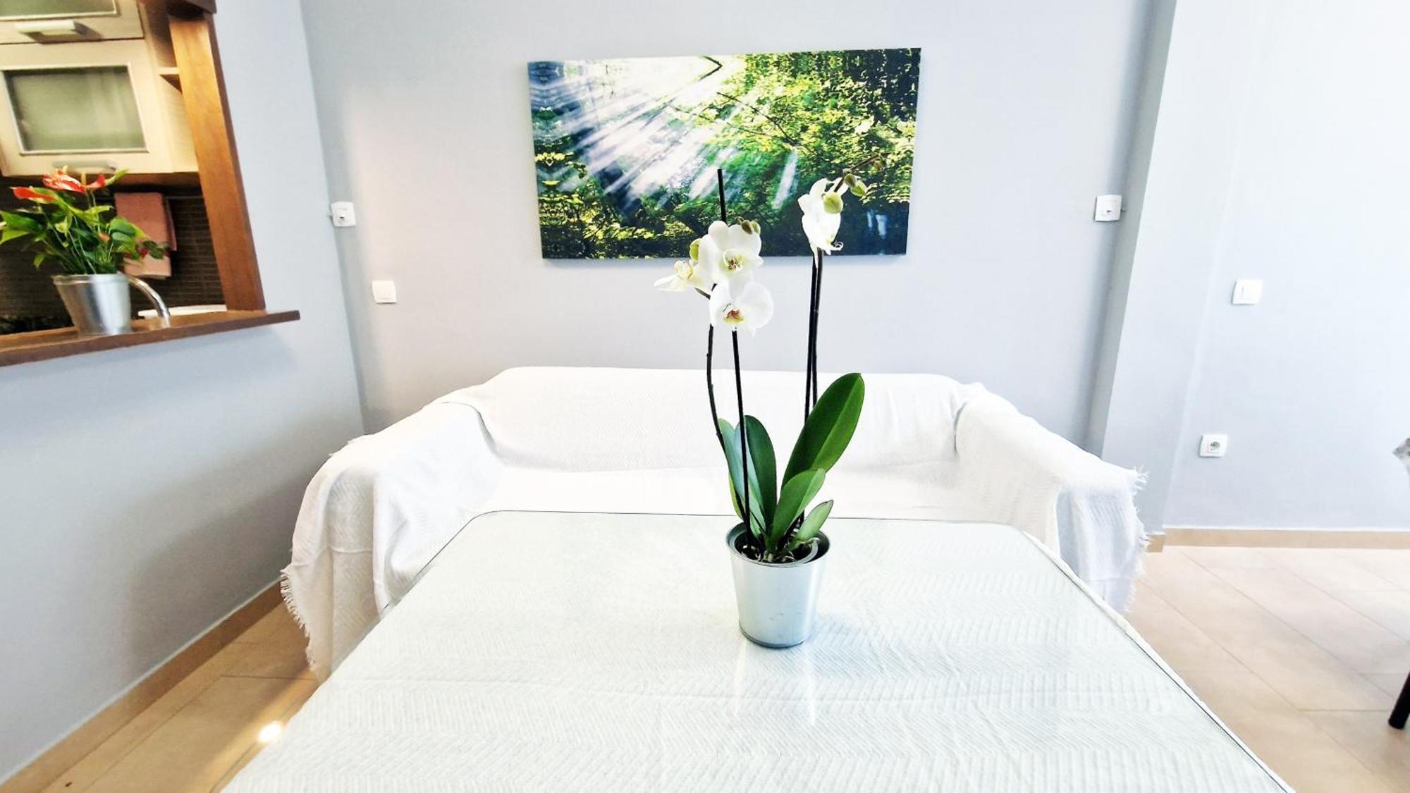 Appartement Aa Guest - Sur Sea Views Eco