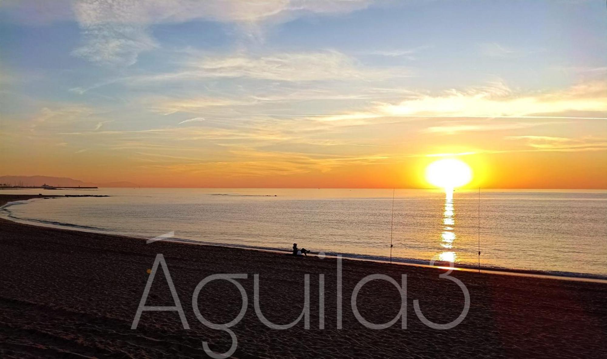 Estudio Aguila3 *