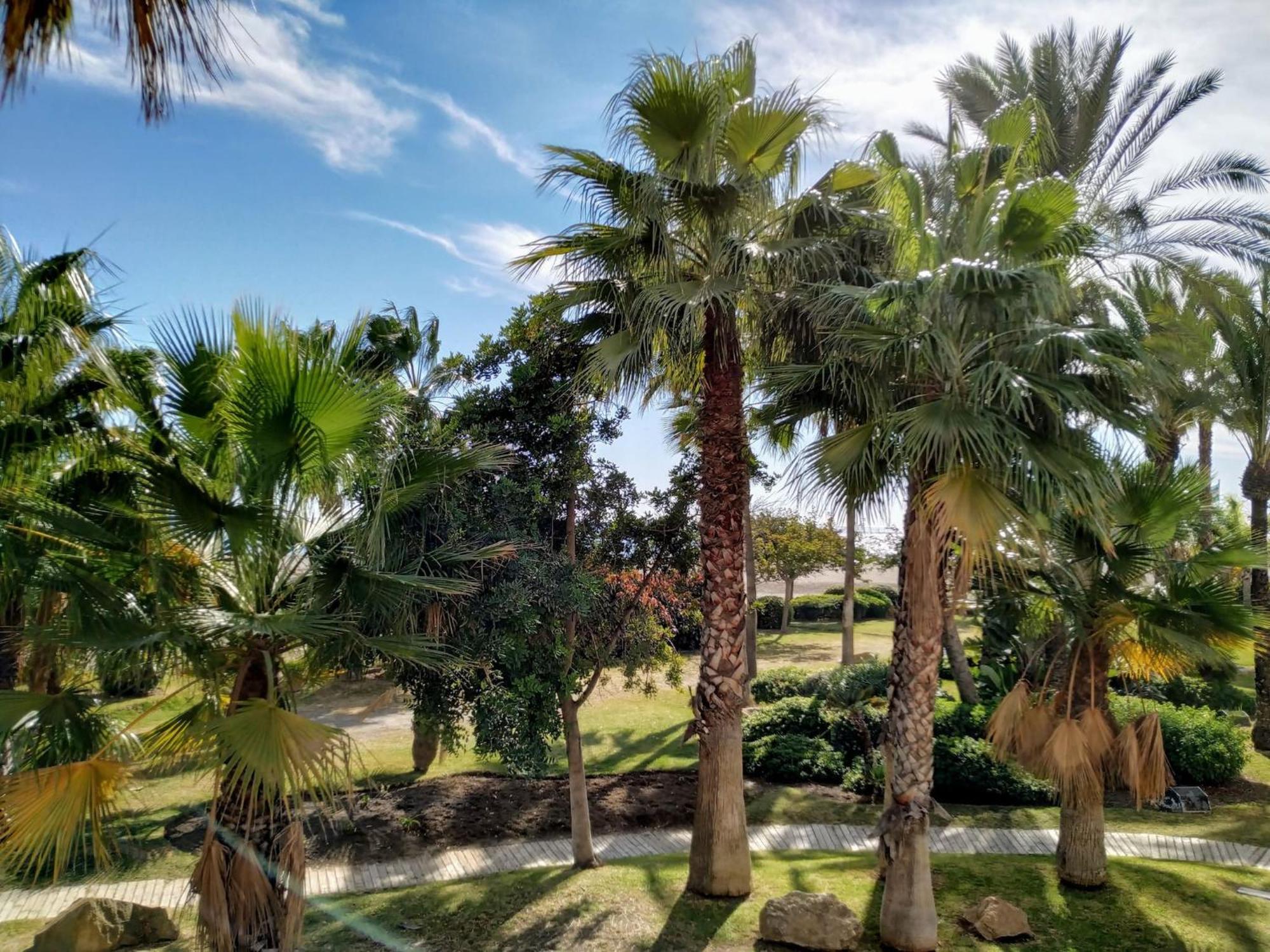 Deluxe Penthouse With Sea Views Near Puerto Marina Benalmadena