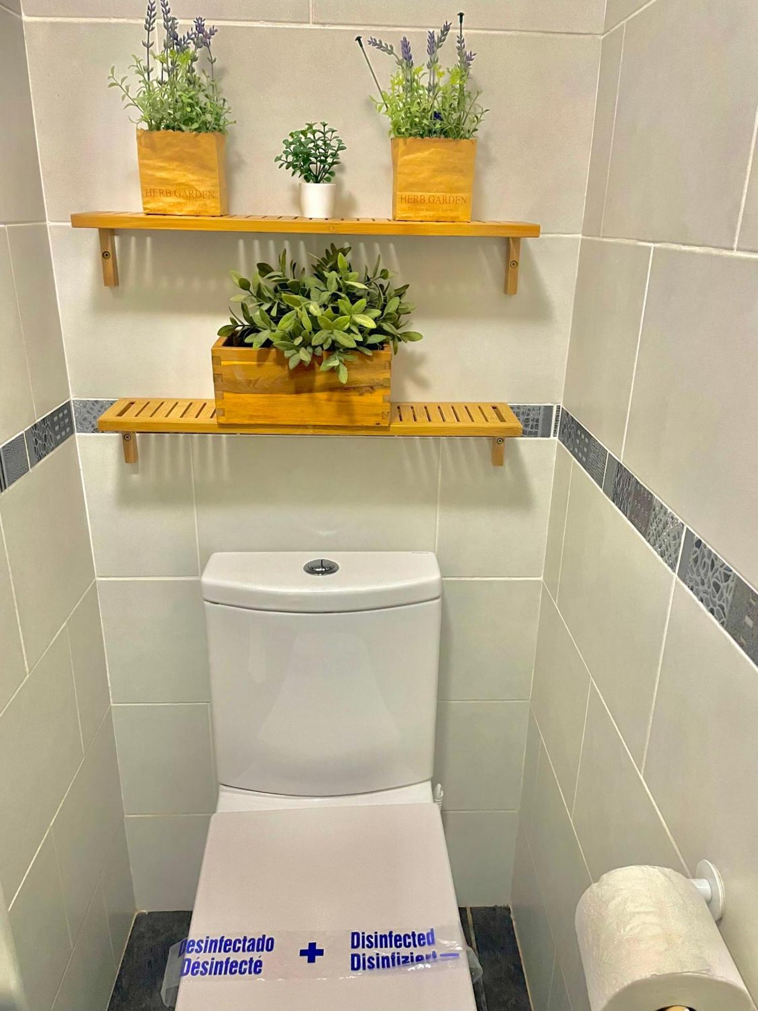Luxury New Minerva Apartment
