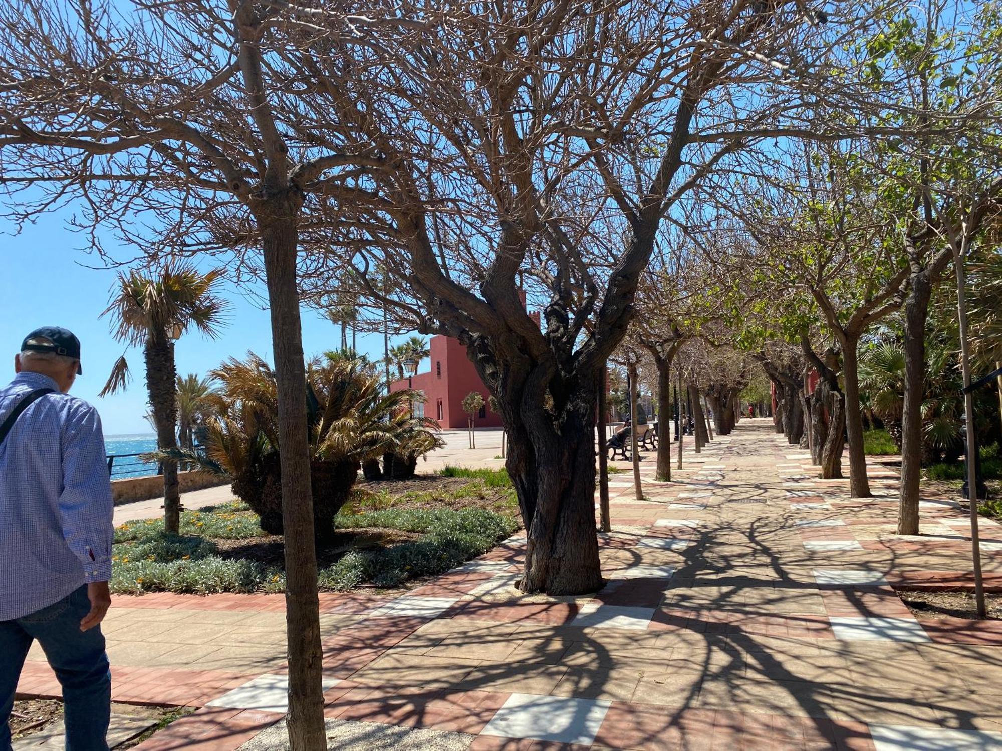 Adosado Flores Benalmádena
