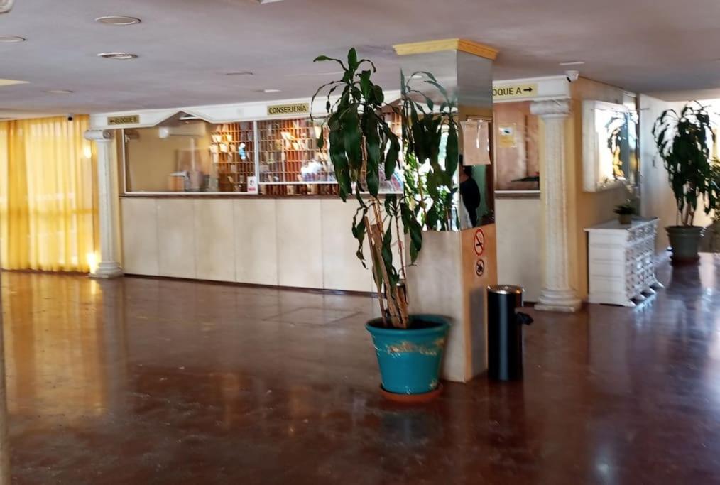 Hercules Nuevo Y Moderno Estudio * Benalmádena