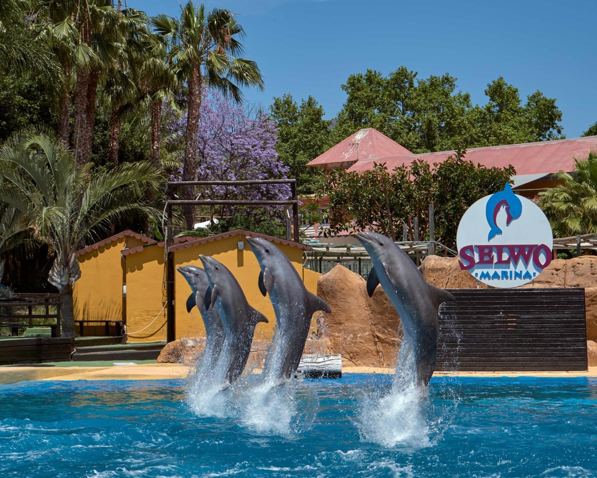 With Swimming Pool Open Year