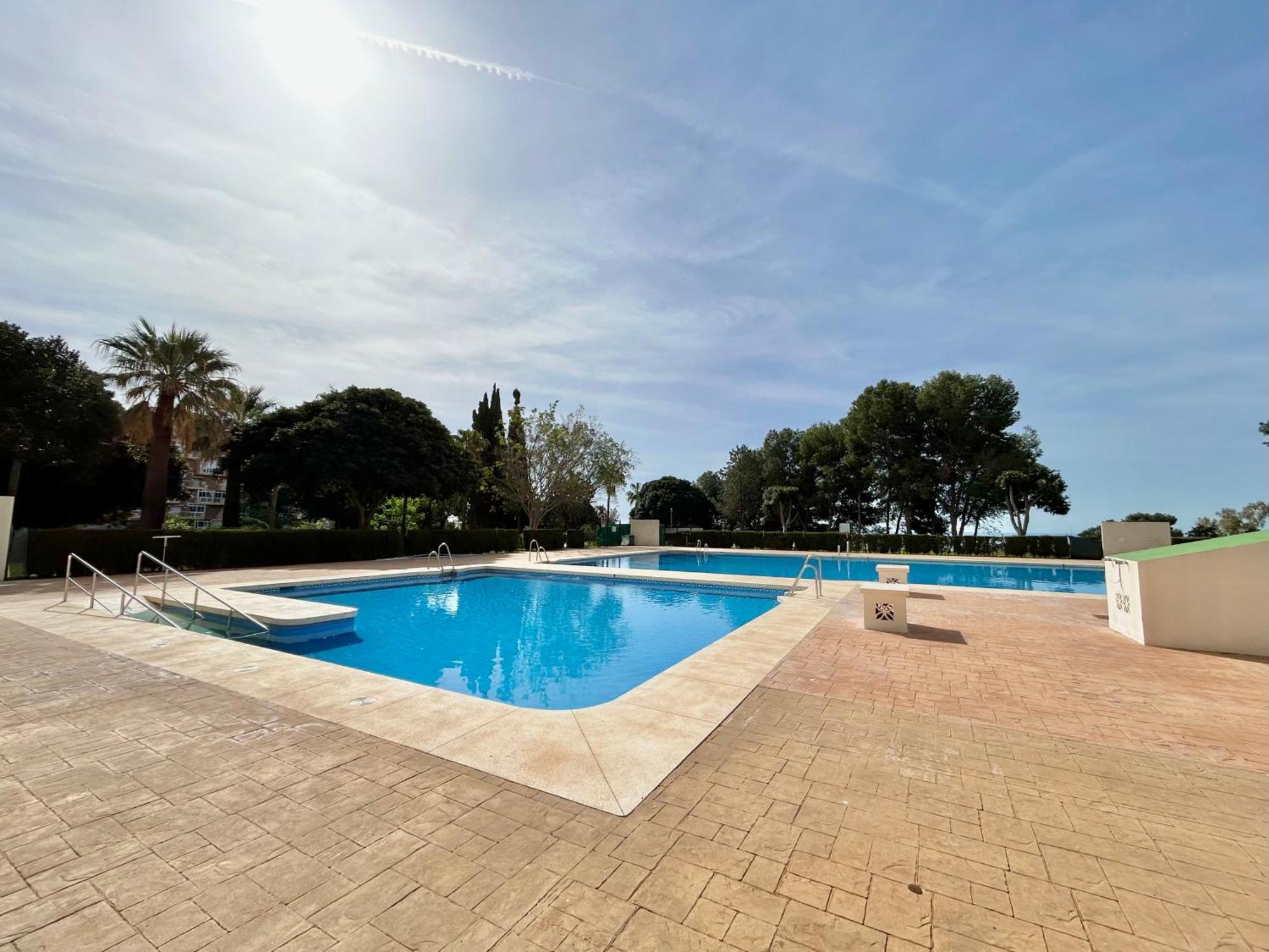 Hoja De Palma Apartment