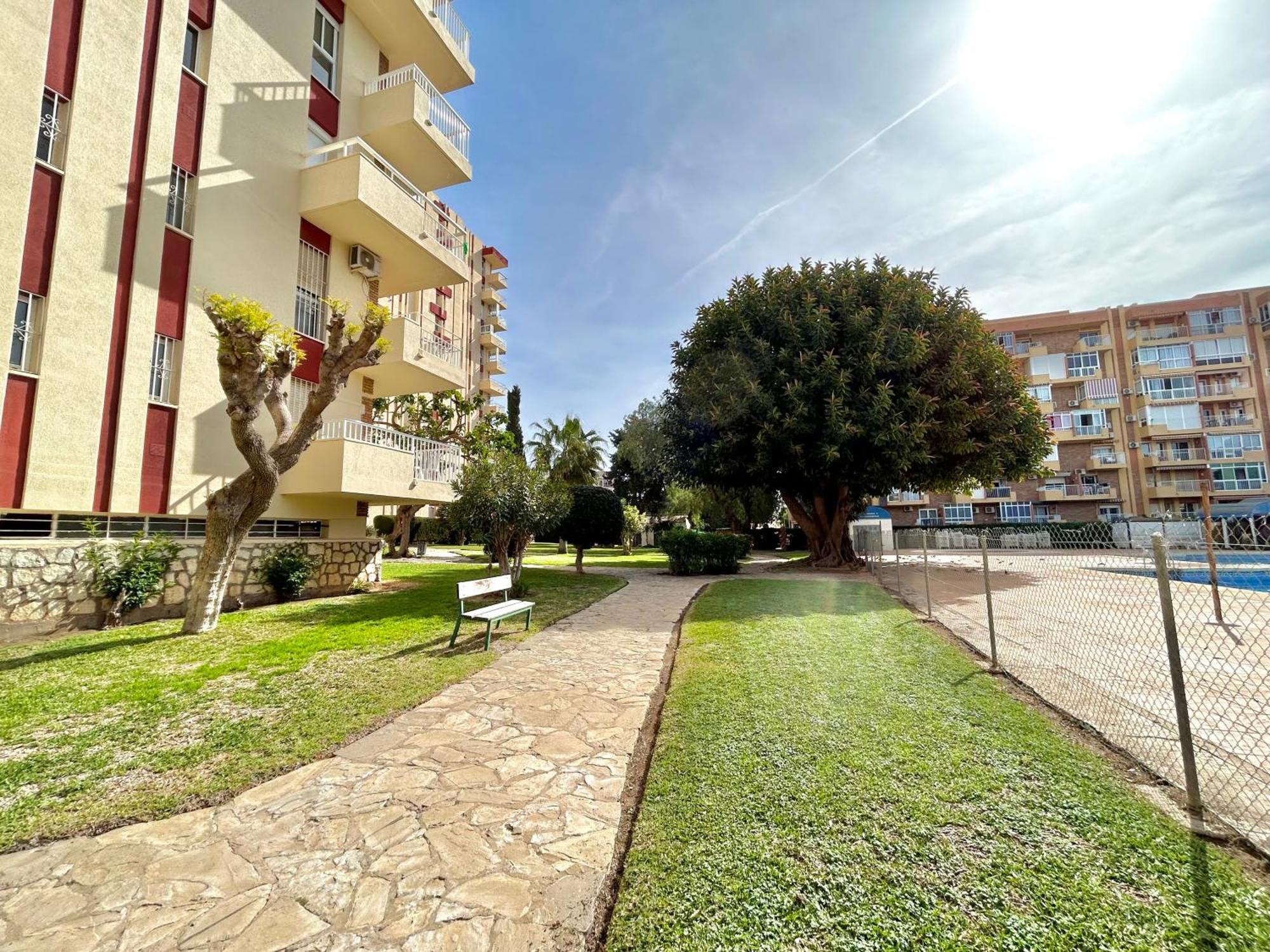 Hoja De Palma * Benalmadena